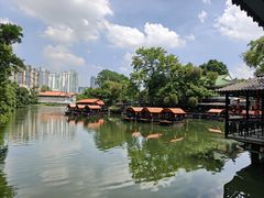 -侨美·唐荔园·40年地道粤菜