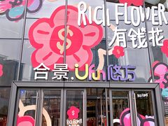 -合景·悠方(成都店)
