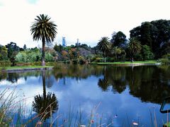 -墨尔本皇家植物园