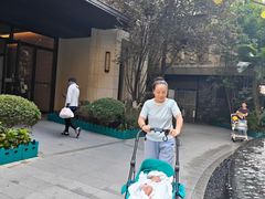 -田螺阿姨自营月嫂·育儿嫂(高新店)