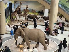 -陕西自然博物馆