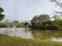 -中国科学院西双版纳热带植物园