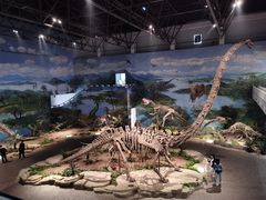 -自贡恐龙博物馆