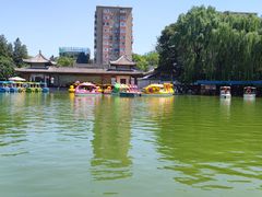 -团结湖公园
