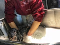 -PETKIT小佩宠物·低压洗护(国顺东路店)