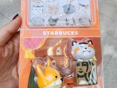 -星巴克(深圳音乐厅店)