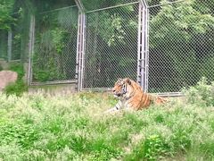-西安秦岭野生动物园