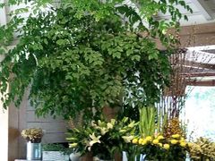 android_upload_pic-春暖花开(西溪店)
