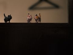 -Fukumimi·美醉堂 居酒屋(金尚店)