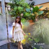 厦门植物氧吧|华美空间藏着一处热带雨林下午茶