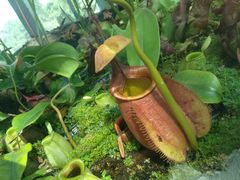 -国家植物园南园