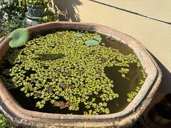 -留香花园(淮海街商业街店)