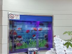 -雅悦齿科(顾村公园店)