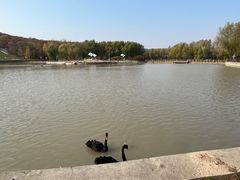 -哈尔滨北方森林动物园