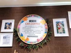 -藏猫猫咖啡主题馆(中央大道店)