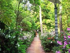 -铁山坪森林公园