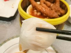 虾饺-华联广州大酒店-餐厅