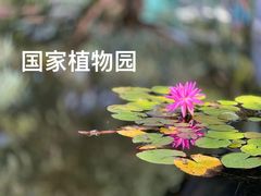 -国家植物园南园
