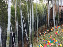 -天目湖御水温泉·度假酒店