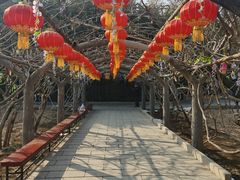 -红螺寺