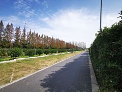 -前小桔亲子创意农场·草莓采摘·露营烧烤