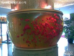 -中影国际影城(兰生大厦CINITY LED店)