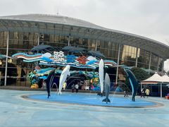 -海合安成都极地海洋公园