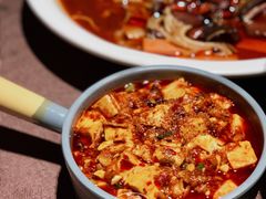 麻婆豆腐-樽宴酒楼·地道川菜·品质宴请