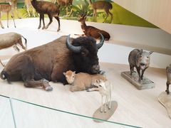 -陕西自然博物馆