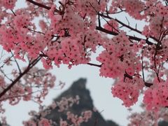 -高岚大峡谷旅游度假区