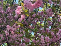 -狼山风景名胜区