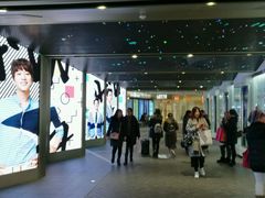 -乐天免税店(明洞店)