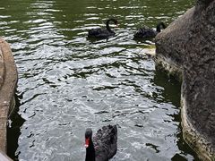 -昆明动物园