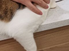 -萌兽医馆·犬猫专科·眼科中心·宠物医院(朝阳门分院)