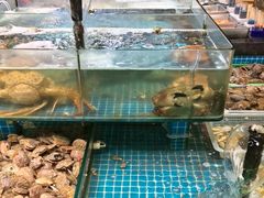 -和源祥·日照菜扛把子(万平口一店)