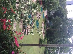 香格里拉大酒店-新加坡香格里拉