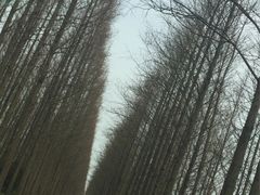 -滨海高尔夫俱乐部