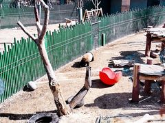 -沈阳森林动物园