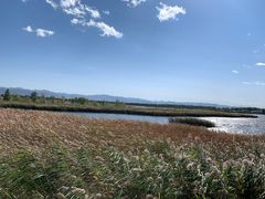 -野鸭湖国家湿地公园