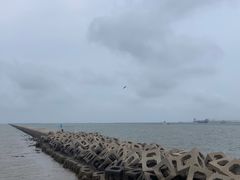 -东疆建设开发纪念公园
