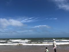 -日照海滨国家森林公园