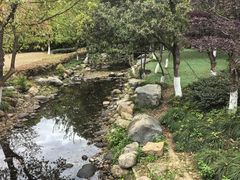 -白马涧龙池景区