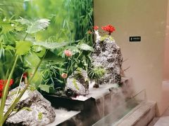 -国人川菜(李家村建东街店)