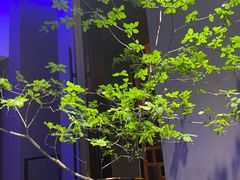 -怡情荟•海鲜青岛菜(五四广场旗舰店)