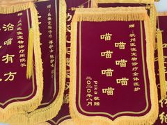 -萌兽医馆·宠物医院·猫骨科(创景店)