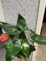 -LJOY丽锦造型·烫发染发