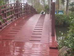 -合肥滨湖国家森林公园