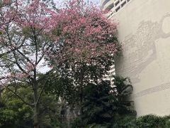 -广州花园酒店