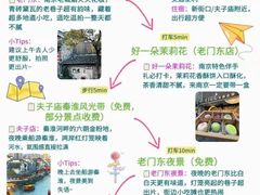 -好一朵茉莉花(老门东店)