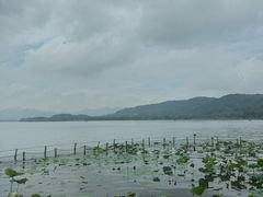 -湖畔居茶楼(湖滨店)